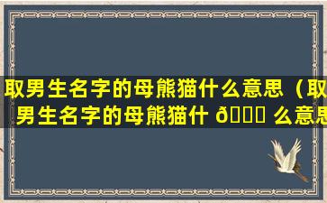 取男生名字的母熊猫什么意思（取男生名字的母熊猫什 🐒 么意思啊）